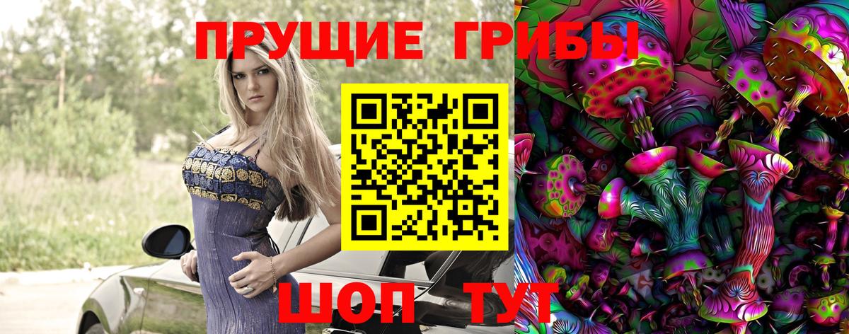 Псилоцибиновые грибы Psilocybine cubensis Сыктывкар