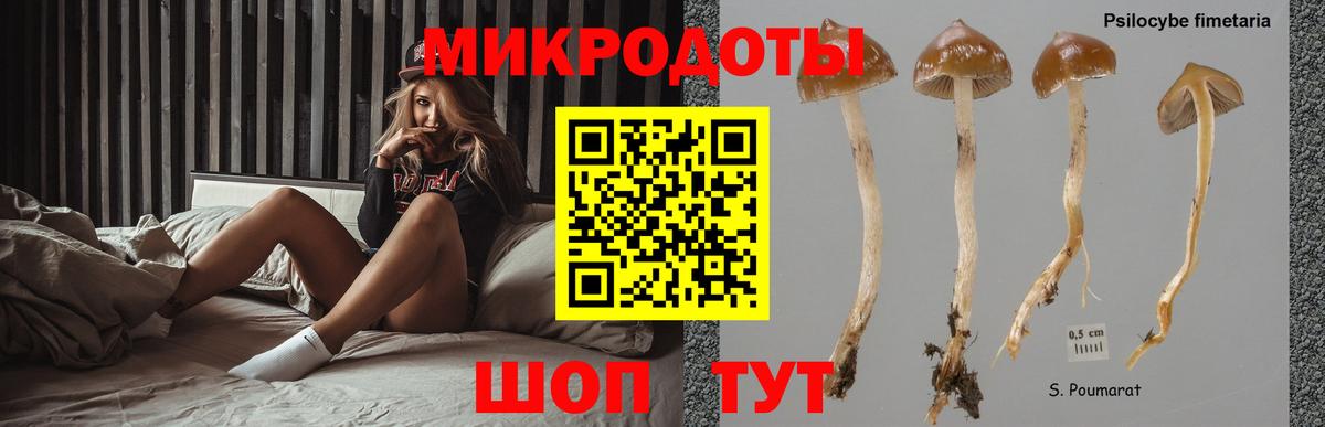 Сыктывкар  Псилоцибиновые грибы прущие грибы  Вход с VPN 